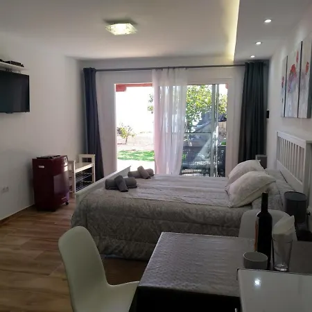 Modern Seaview Studio Arafo
